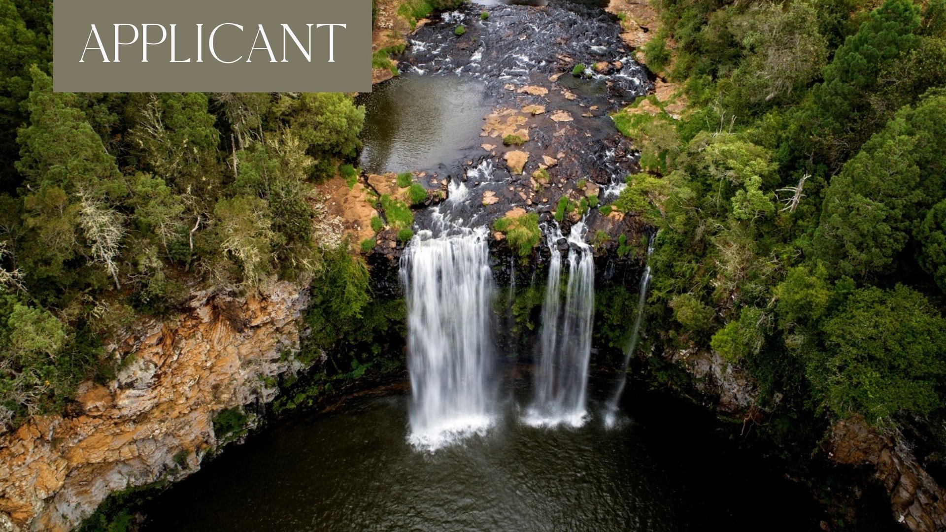 bellingen tourist information