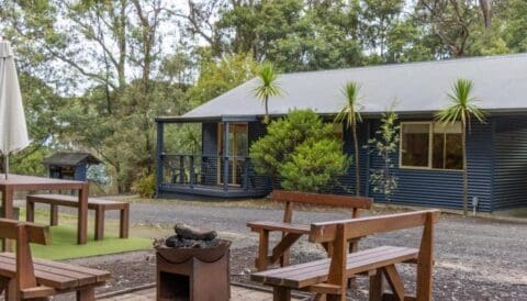 Outdoor seating area with wooden benches and tables in front of a metal cabin surrounded by trees in Lorne. A fire pit is visible in the center of the seating area, creating a perfect spot for gatherings at this charming eco retreat.