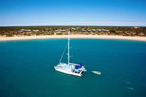A sailboat anchored in calm, blue waters near a sandy beach with houses in the background under a clear sky, perfect for sealife charters.