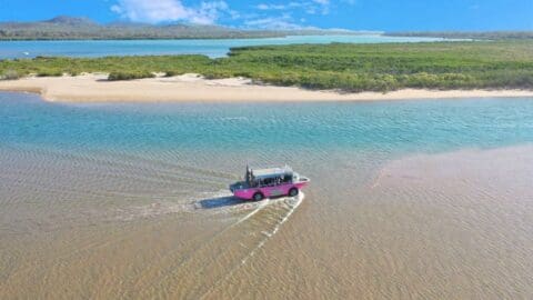 An amphibious vehicle with several passengers moves from a sandy shore to a calm, shallow body of water, surrounded by lush vegetation and distant mountains under a clear blue sky. The scene highlights the natural beauty perfect for ecotourism enthusiasts looking to immerse themselves in nature.