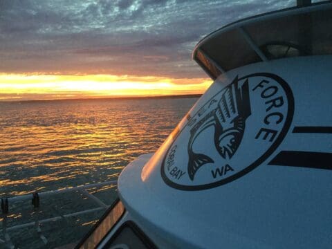 A boat with a "Seaforce Coral Bay WA" logo is docked at sea during sunset; the sky is a mix of orange and gray clouds reflecting on the calm water.