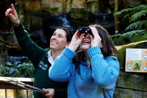 Two individuals in a lush outdoor area, one pointing at something in the distance while the other looks through binoculars. A small waterfall and educational plaques about conservation are visible in the background, highlighting efforts by Taronga Conservation Society Australia.