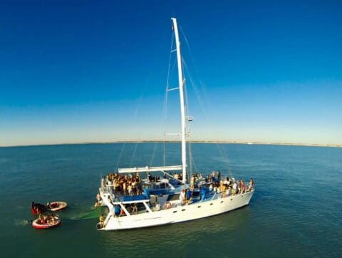 A white sailboat with a crowded deck, including a group being towed on an inflatable raft, floats on a calm, blue ocean under a clear sky, enjoying the abundance of sealife.