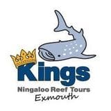 Logo of Kings Ningaloo Reef Tours featuring a whale shark and a golden crown.