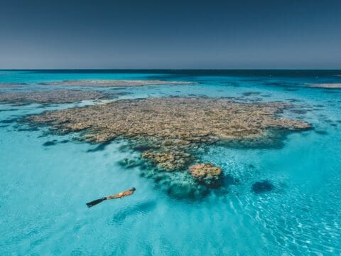 A snorkeler swims near coral formations in clear turquoise water under a clear blue sky, enjoying the serene beauty on a luxurious adventure with Lady M Luxury Cruises.