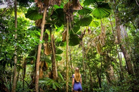 A person with long hair stands in a lush rainforest, surrounded by tall trees and large-leaved plants, gazing upward, fully immersed in the beauty of nature.