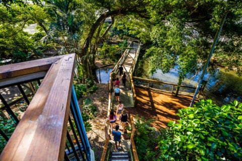 A group of people walk down a wooden staircase surrounded by lush greenery beside a body of water on a sunny day, enjoying a sustainable ecotourism experience.