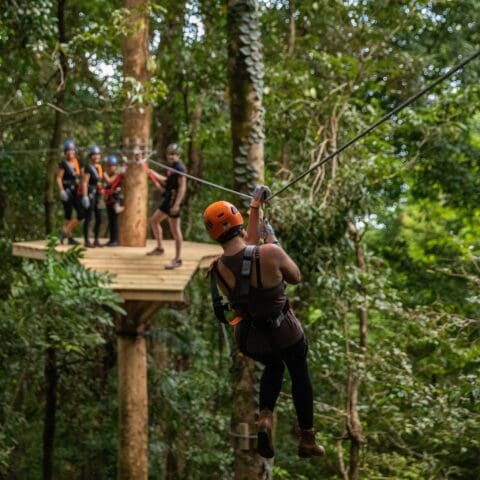 Person zip-lining through the forest at TreeTops Adventure on the Central Coast, while a group waits on a wooden platform in the background. Everyone is equipped with helmets and harnesses.