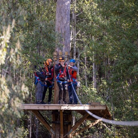 Four people in safety gear stand on a wooden platform in the heart of TreeTops on the Central Coast, preparing for an exhilarating zip line adventure.