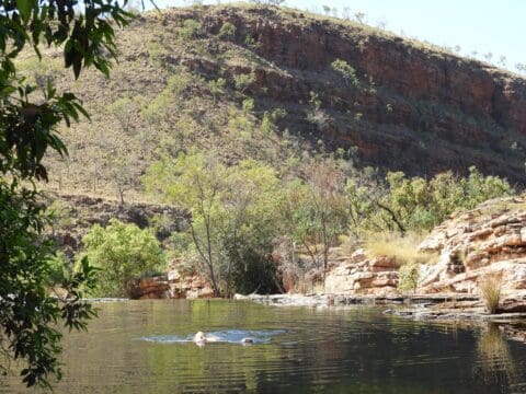 A person swimming in a calm lake surrounded by rocky terrain and sparse vegetation, with a hilly landscape in the background, looks like an adventure straight out of Willis's Walkabouts.