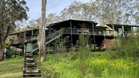 A house with an elevated structure, surrounded by tall trees and vegetation, with a staircase leading up to the porch—the perfect starting point for your next adventure.