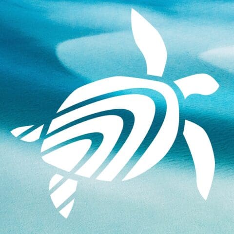 A stylized white turtle design set against a gradient blue background, depicting waves and oceanic elements, evokes the serene beauty of a Whitsundays cruise.
