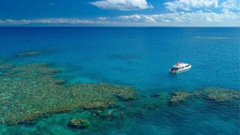 ABC Snorkel Charters