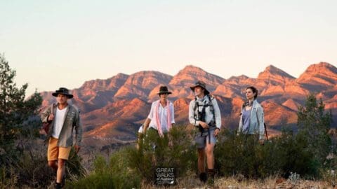 Four people dressed in hiking attire embark on a world expedition, strolling through a bushy landscape at sunset with mountain ranges in the background.