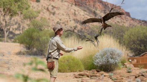 A person in outdoor attire interacts with a bird in a desert-like environment with sparse vegetation and a rocky backdrop, showcasing the beauty of nature in this ecotourism-friendly area.