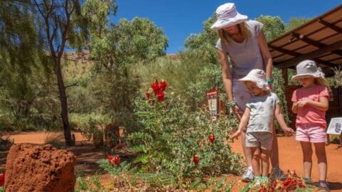 A woman and two children observe bright red flowers in an outdoor garden on a sunny day. They all wear sun hats, and the garden is surrounded by trees and brown soil, promoting sustainable ecotourism.