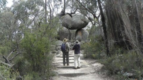 Two people wearing hats are walking up a stone path surrounded by trees, with large stacked boulders visible in the background. It looks like they are on a nature tour.