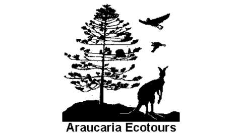 Black and white logo of Araucaria Ecotours featuring a kangaroo, a tree, and two birds in flight, symbolizing our dedication to certified nature adventures.