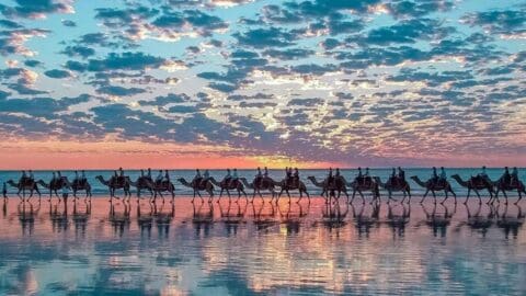 A line of people riding camels walk along a beach at sunset, with a cloudy sky reflecting on the wet sand. This tour offers an unforgettable nature experience.