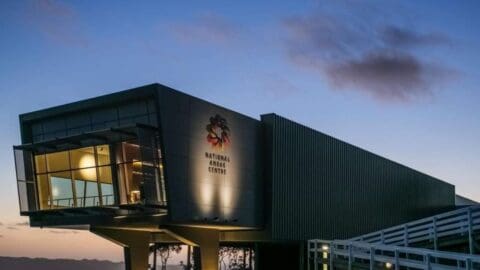 Exterior view of the National Anzac Centre at dusk, with modern architecture and an illuminated interior visible through large windows, showcasing its commitment to sustainable design.