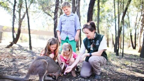 Three smiling kids with a zookeeper feed a kangaroo.