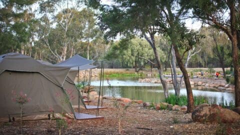 A serene setting of green tents next to a lake that is surrounded by trees and flowers.