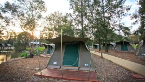 A green tent with a wooden terrace in front and other similar tents around it next to calm lake and trees.