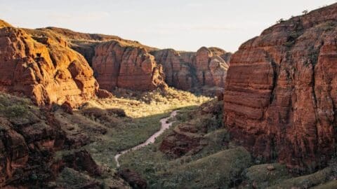 A narrow, winding path runs through a vast canyon with tall, rocky red cliffs and sparse vegetation under a clear sky—a perfect setting for World Expeditions.