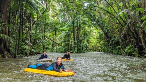 Three people floating on yellow inflatable rafts down a river surrounded by dense, lush greenery, enjoying an ecotourism experience.