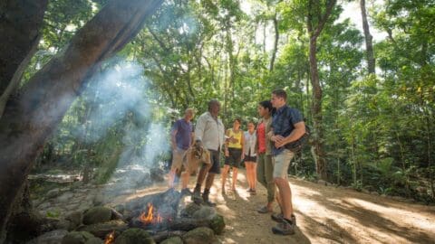 A group of people on a tour are standing and talking near a small campfire in a sunlit forest.