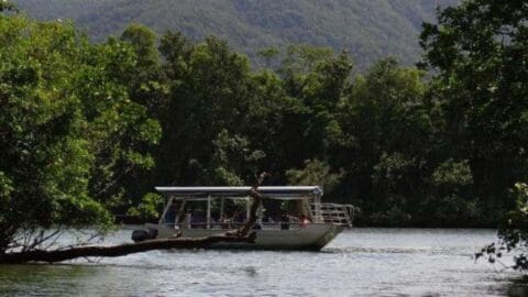 A boat with passengers cruises along a river surrounded by dense forest and mountains in the background, offering an ecotourism experience.