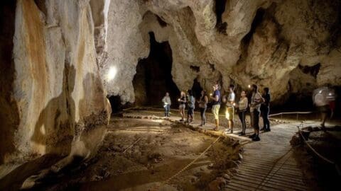 A group of people stand on a wooden pathway, holding flashlights inside a large cave with rugged walls and rock formations, marveling at the wonders of nature.