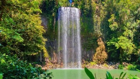 A tall waterfall cascades into a pool, surrounded by lush vegetation and dense trees, providing a perfect spot for those seeking to immerse themselves in nature. For visitors, nearby sustainable accommodation options enhance the experience of this tranquil retreat.