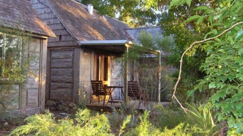 A rustic cabin with a wooden porch surrounded by lush greenery. Two wooden chairs and a table are set on the porch, perfect for enjoying the tranquility of nature. The cabin has a wooden shingle roof.