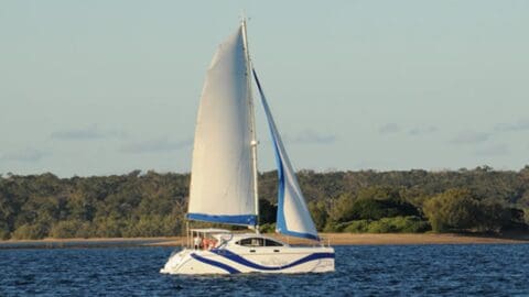 Sailboat with white and blue sails gliding on calm water with a tree-lined shore in the background, embracing nature and promoting ecotourism.