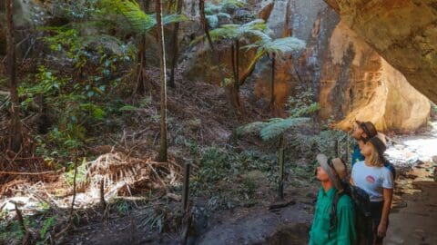 Three people with hats explore a rocky, fern-filled forest cave. One wears a white t-shirt, while the others wear green shirts. Sunlight filters through the foliage, illuminating the scene. It's an immersive nature tour that captivates visitors with its pristine beauty.
