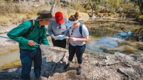 Three people are standing near a pond. One holds a net, while the other two look at a book, immersed in nature. They appear to be outdoors in an ecotourism setting.