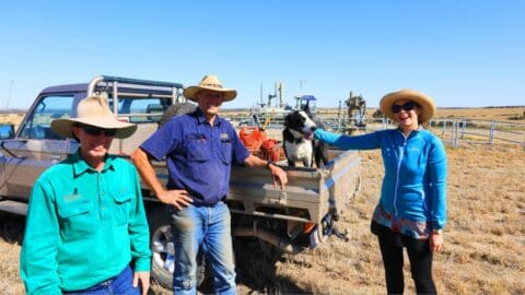 Three people and a dog stand near a utility vehicle in a dry, open field. The person on the right is petting the dog, which is in the back of the vehicle. All individuals are wearing hats, enjoying nature together.