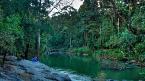 A serene river flows through a dense forest, with a few people sitting on the rocks by the water’s edge. The surrounding trees are lush and green, perfect for a sustainable tour or tranquil accommodation.