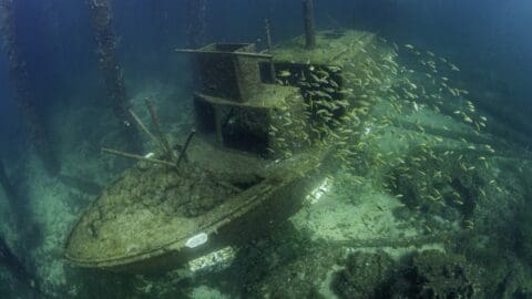 The sunken shipwreck under the waters of Western Australia lies eerily still, surrounded by a vibrant school of fish. The rust and marine growth covering the structure create an otherworldly scene near Busselton Jetty.