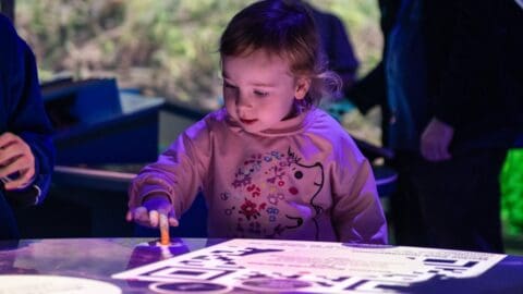 A young child in a pink sweater interacts with a glowing surface in a darkened room, focused on the activity, reminiscent of the magical underwater lights at Busselton Jetty in Western Australia—a must-see for tourism enthusiasts.