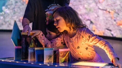 Two children interacting with educational exhibits at the Busselton Jetty, examining information panels and displays. One child reaches out while the other looks closely, both engrossed in learning about this fascinating piece of Western Australian tourism.