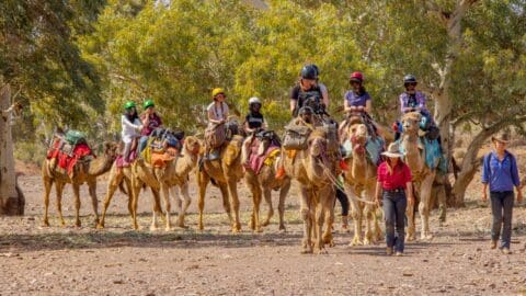 A group of people with helmets riding camels in a natural setting, guided by two individuals walking beside the camels. Trees and scrubland are visible in the background, highlighting an ecotourism experience.