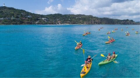 A group of people in Cape Byron Kayaks paddling on a clear blue ocean near a hilly shoreline with houses and a distant lighthouse.