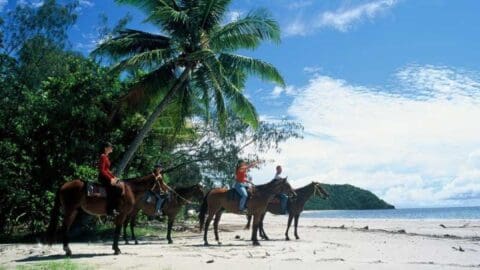 Four individuals riding horses on a tropical beach with palm trees and blue sky, near the water's edge, enjoying their sustainable accommodation experience.
