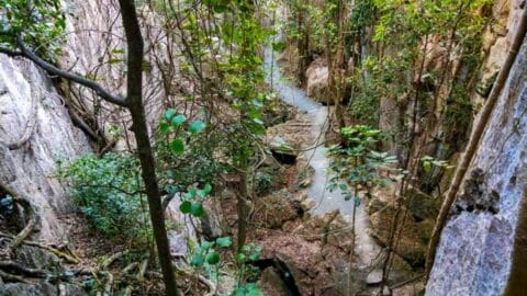 A narrow stream flows through a rocky, dense forest with tall cliffs and abundant vegetation, showcasing the beauty of nature.