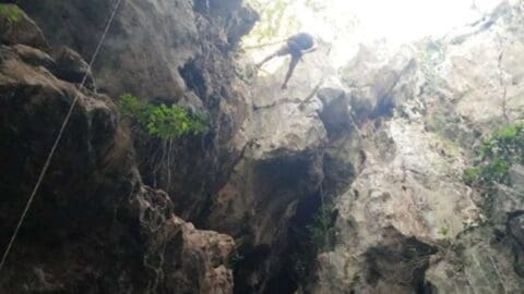 A certified climber in gear ascends a large rocky cliff with vegetation, under a bright sky.