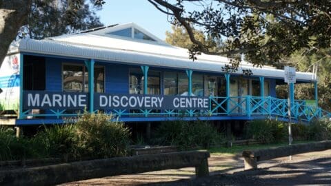 A blue building with a white roof, labeled "Marine Discovery Centre," surrounded by trees and bushes. A wooden railing and sign are visible in the foreground, inviting visitors to tour the site and connect with nature.