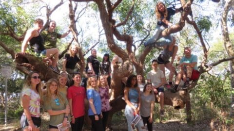 A group of people posing for a picture on a large tree.