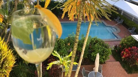 A glass of white wine garnished with an orange slice and mint is held above a view of a resort pool surrounded by tropical plants and patio furniture, embodying the spirit of ecotourism.